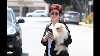 Sharon Osbourne plans tell-all book