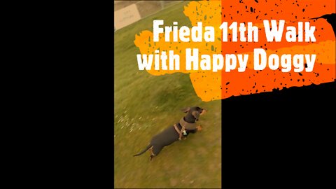 Frieda 11th Walk with Happy Doggy