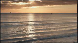 Beach Sounds Seagulls Waves White Noise