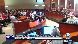 Push to ban sales of puppies at pet stores in IRC