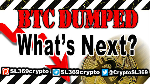 Video 13: Bitcoin dumped! What's next? Predictions for 2021