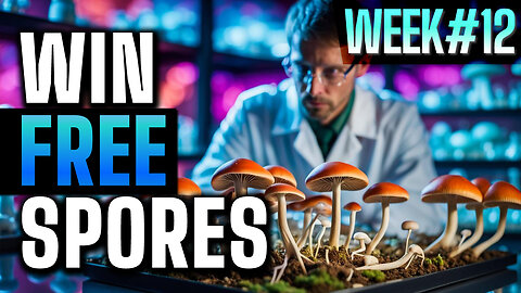 Psychedelic Mushrooms - Week 12 - Free spore syringe give away
