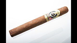 Ashton ESG 20 Year Salute Cigar Review