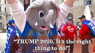 Americans Say! TRUMP 2020 It's The Right Thing To Do | Washington DC | 2020-12-12