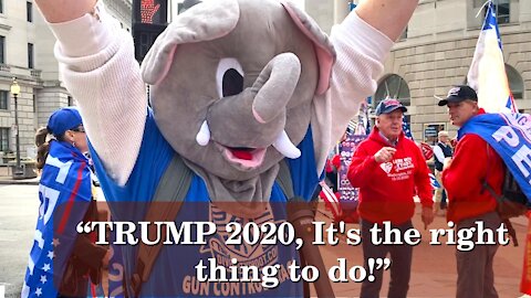 Americans Say! TRUMP 2020 It's The Right Thing To Do | Washington DC | 2020-12-12