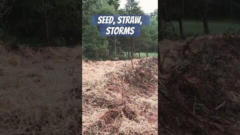 Sees and straw before the storm
