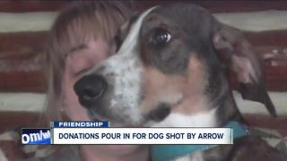 Police: Man shot neighbor's dog with arrow