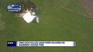 1 dog dead, another seriously injured in Warren house fire