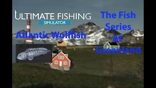 Ultimate Fishing Simulator: The Fish - Greenland - Atlantic Wolffish - [00080]