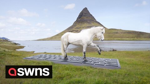 Iceland trots out service that lets HORSES reply to work emails while you're on holiday