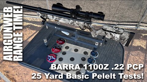 AIRGUN RANGE TIME - BARRA 1100Z .22 PCP Airgun - Part 2, 25 yard Pellet Testing, JSB, H&N, CPHP