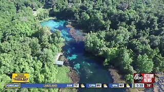 Rainbow Springs in Dunnellon is the perfect relaxing getaway
