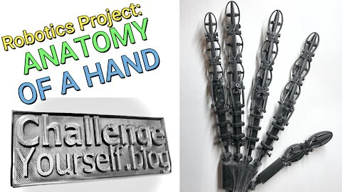 Robotics: Anatomy of a Hand!