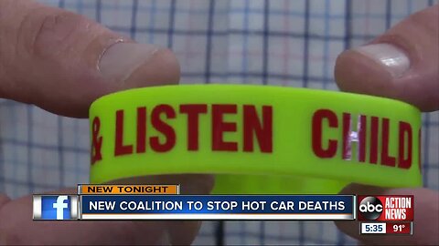 Lakeland grandfather dreams up idea to prevent hot car deaths