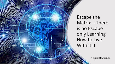 Escape the Matrix – There is no Escape only Learning How to Live Within It