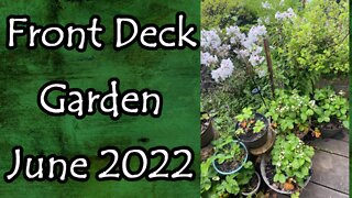 Front Deck Garden June 2022