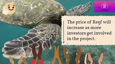 Reef Price Forecast FAQs