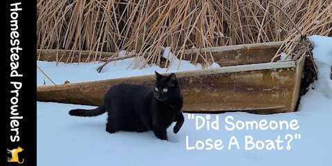 Zoe Cat Goes Boating