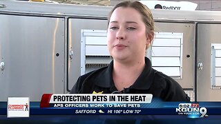 Animal Protection Service officers see increase in calls about animals in heat distress