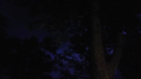 Heat Lightning in Maryland Part 1