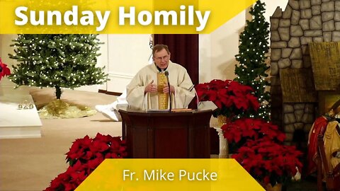 Homily for The Baptism of the Lord - Father Mike Pucke