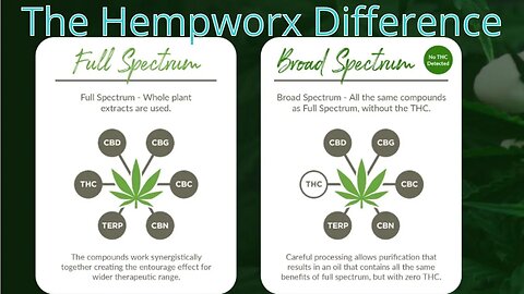 Do you know your Hemp? How about your endocannabinoid system?