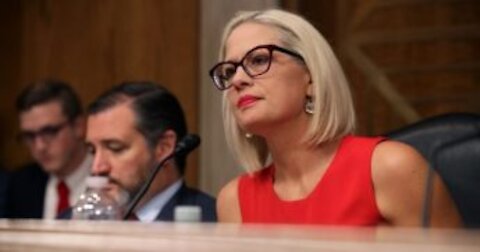 Dem Sen. Sinema Defies Party, May Have Just Saved the Country as We Know It!