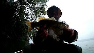 Susquehanna River Trip # 1 - Small Mouth Bass