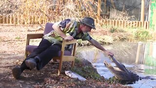 Discover Colorado’s most famous gator and the important work inside this family-friendly reptile park