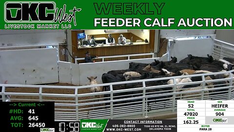 4/5/2023 - OKC West Feeder Calf Auction