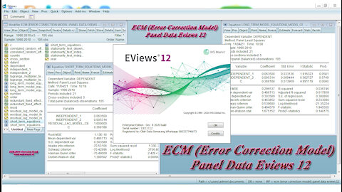 ECM (Error Correction Model) Panel Data Eviews 12