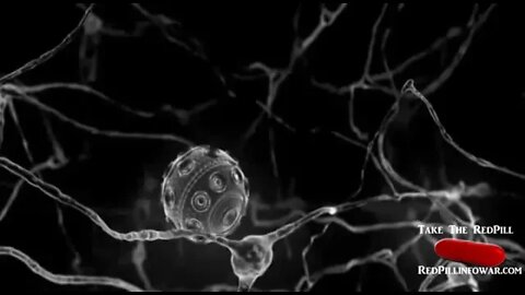 Nanobots replacing neurons (nerve cells)
