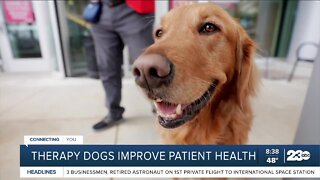 Therapy dogs improve patient health