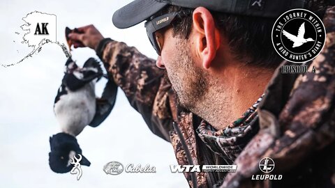 Barrow's Goldeneye: Kodiak Island, AK | The Journey Within - Waterfowl Slam