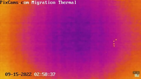 Fall Migration 2022 Thermal Camera - 9/15/2022 @ 2:58 AM - Flock of five birds at low altitude