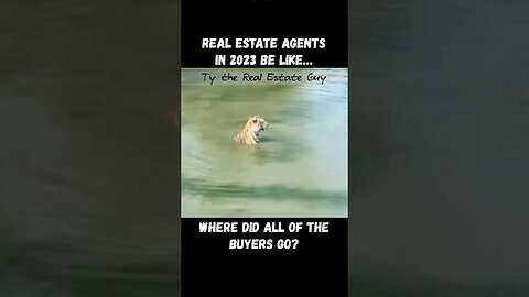 Real Estate Agents in 2023 Be Like… Where did Homebuyers Go? #realestatehumor
