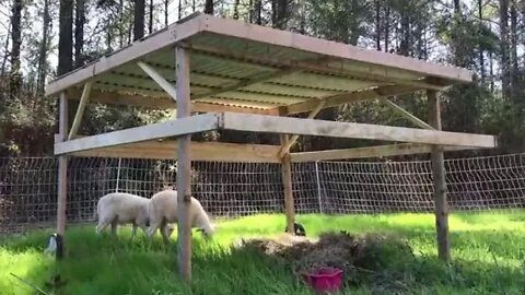 How to Build A Mobile SHEEP Shelter, Regenerative Ag