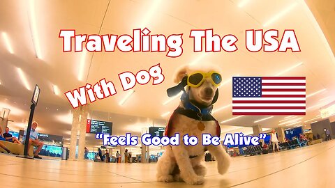Feels Good to Be Alive - Traveling With Dog