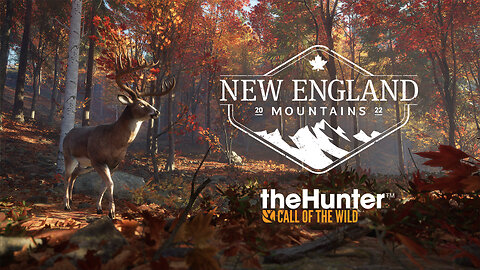 Turkey SHOOT!!! | New England Mtns | theHunter: Call of the Wild