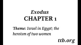 Exodus Chapter 1 (Bible Study)