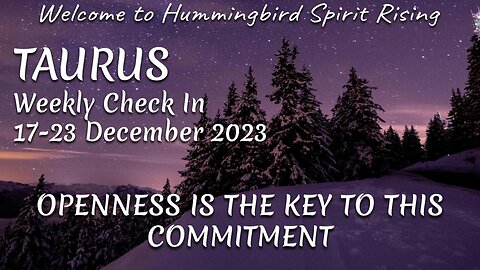 TAURUS Weekly Check In 17-23 December 2023 - OPENNESS IS THE KEY TO THIS COMMITMENT