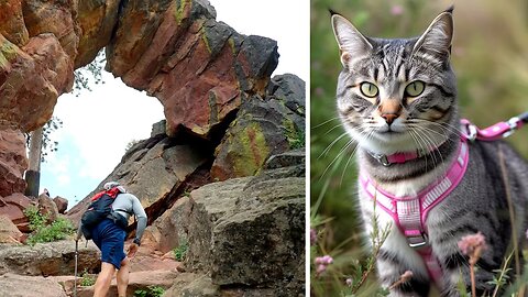 People Hiking with... CATS!?? Hiking Royal Arch, Boulder Colorado