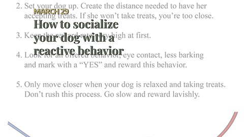 How to socialize your dog with a reactive behavior