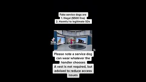 Don’t Fake A Service Dog