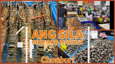 Ang Sila Seafood Market - Chonburi Thailand - Fantastic Local Market