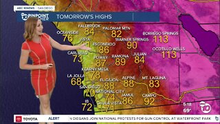 ABC 10News Pinpoint Weather with Meteorologist Leah Pezzetti