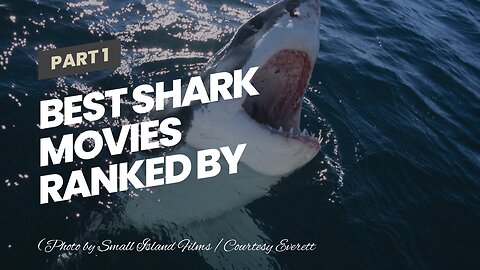 Best Shark Movies Ranked by Tomatometer