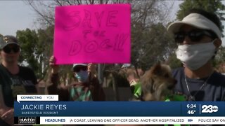 Incident sparks community members to raise awareness about animal cruelty