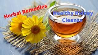 7 BEST Kidney Cleanse Herbs