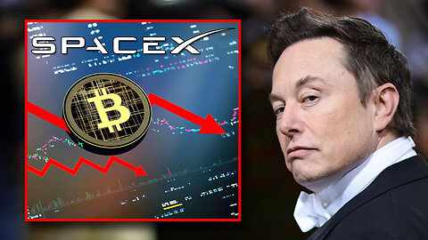 Bitcoin fell from $29,300 to $26,000 due to Elon Musk? Should we panic? What's going on? 📉🪙🤔